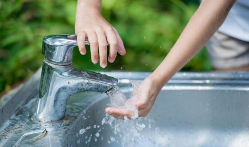 natural sources of nitrates